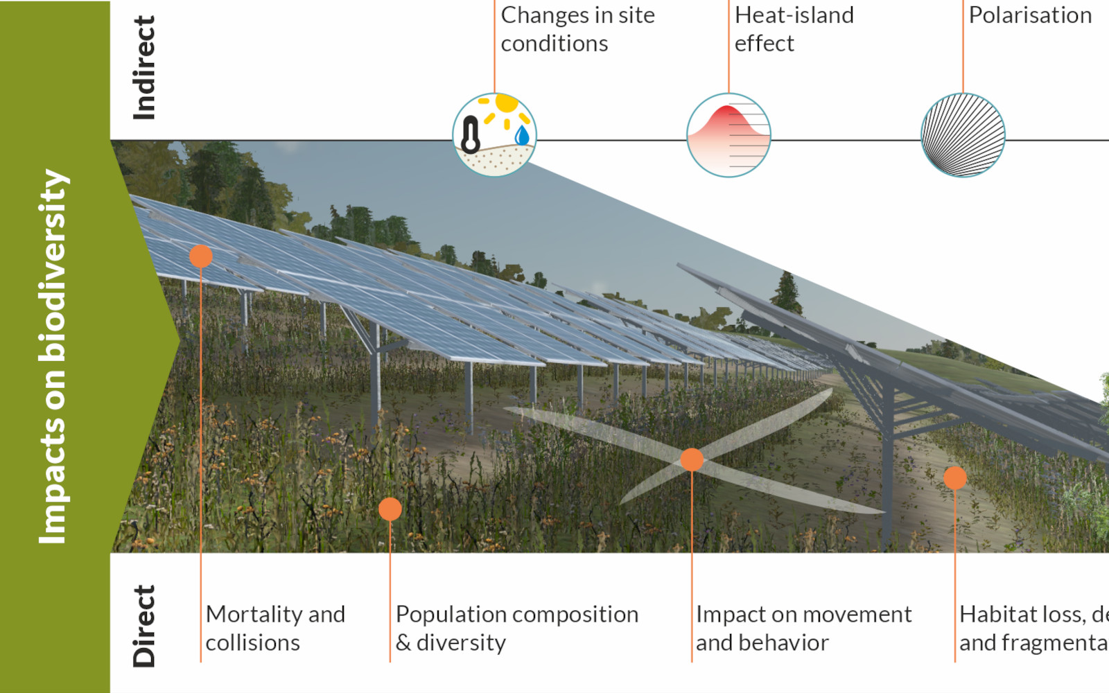 Title image LO.2024.1141